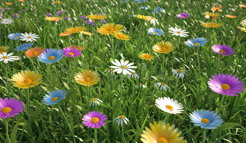 Soñar con campo de flores de muchos colores