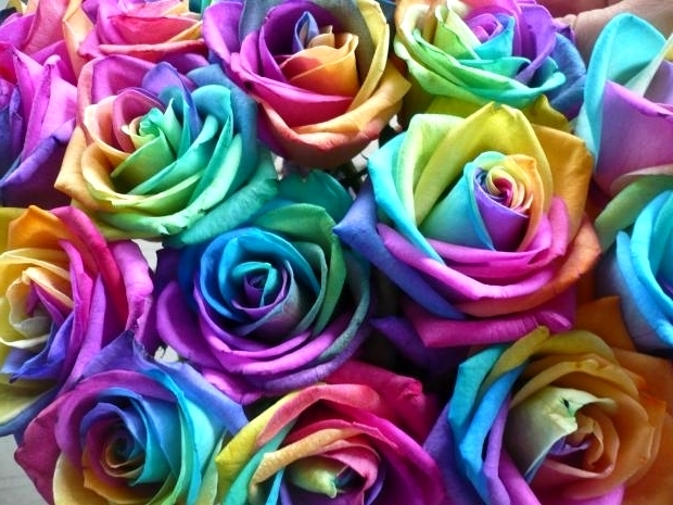 Soñar con rosas de colores